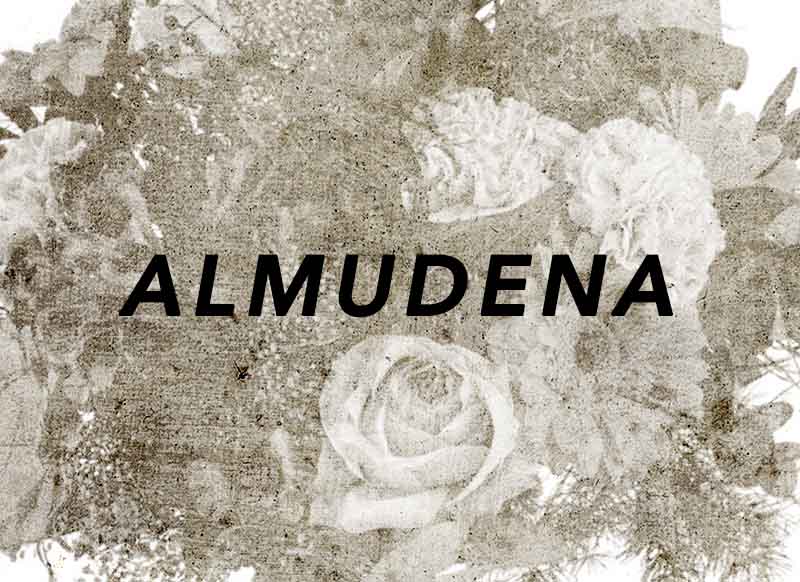 "portada canción almudena"